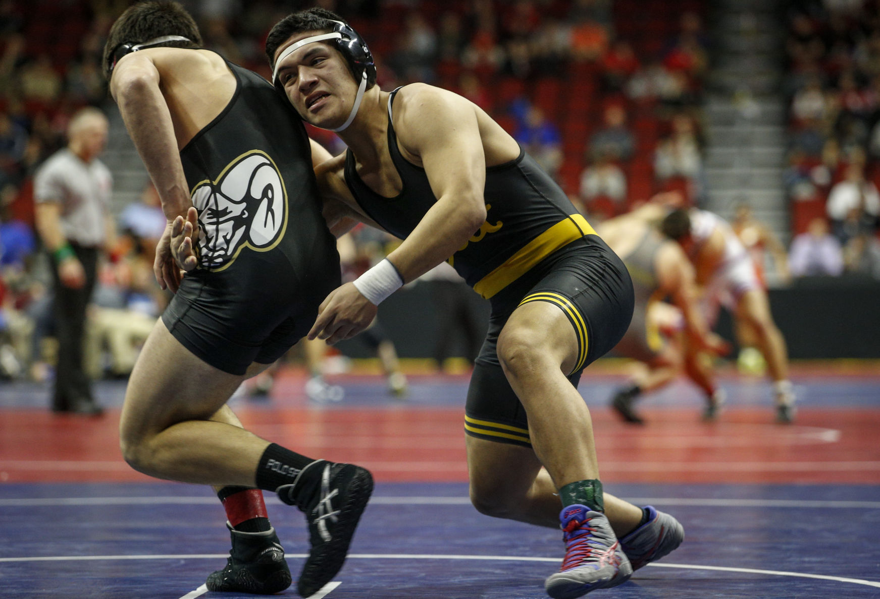 021617-STATE-WRESTLING-009.JPG